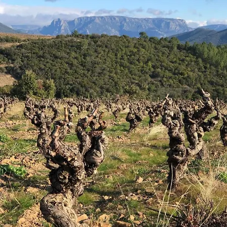 بيت للعطل L'estaple *